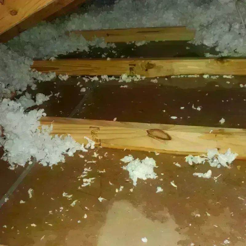 Attic Water Damage in Glasgow, VA