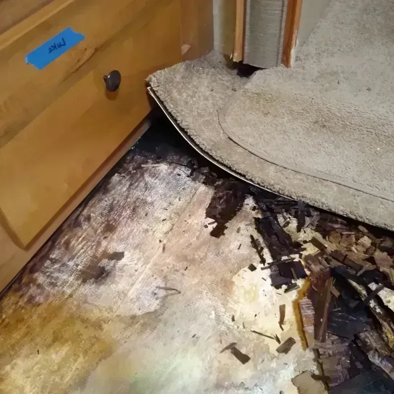 Wood Floor Water Damage in Glasgow, VA